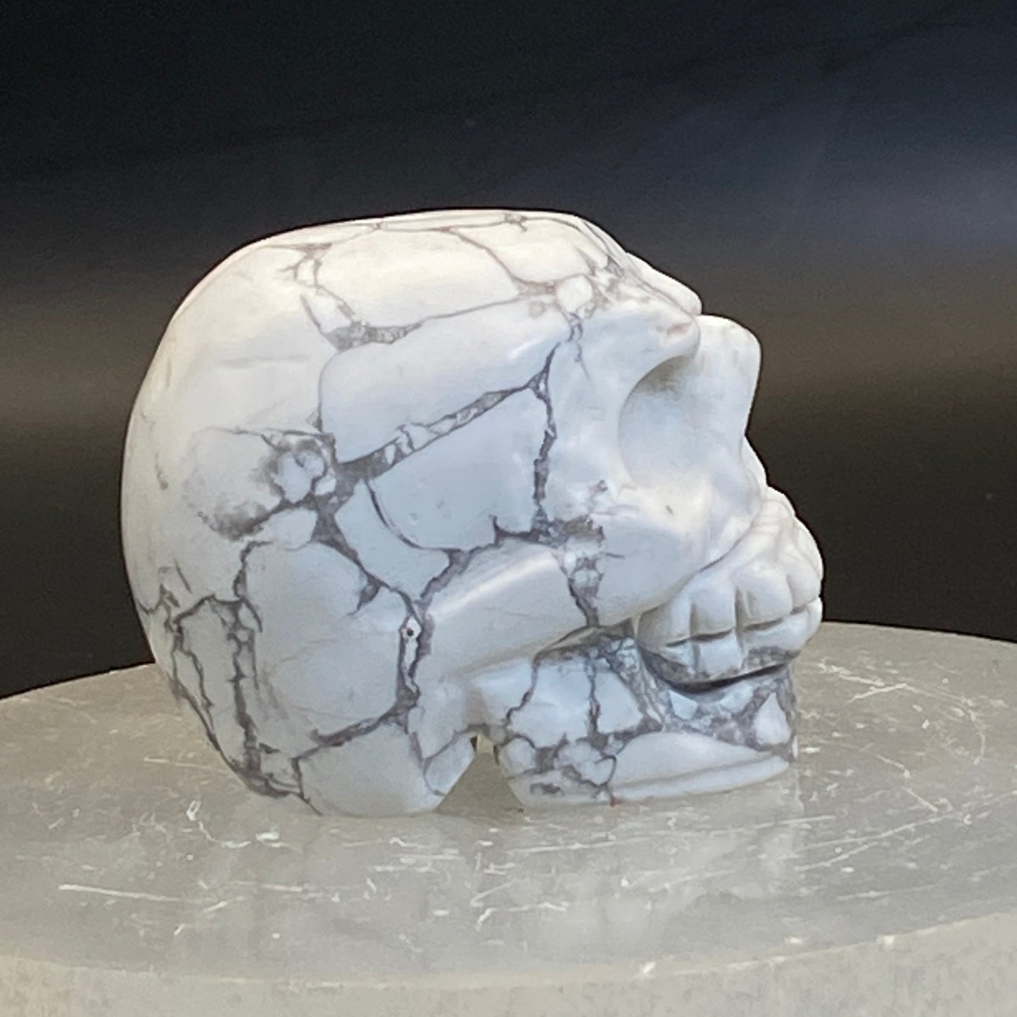 Howlite Skull #3