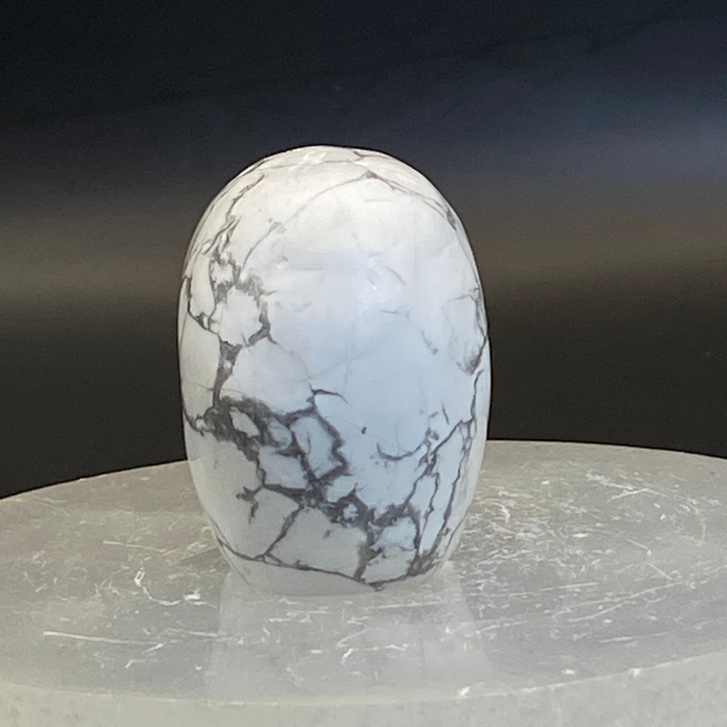 Howlite Skull #3