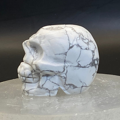 Howlite Skull #3