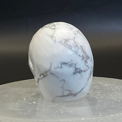 Howlite Skull #4