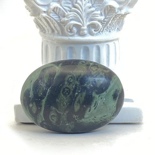 Kambaba Jasper Palm Stone #1