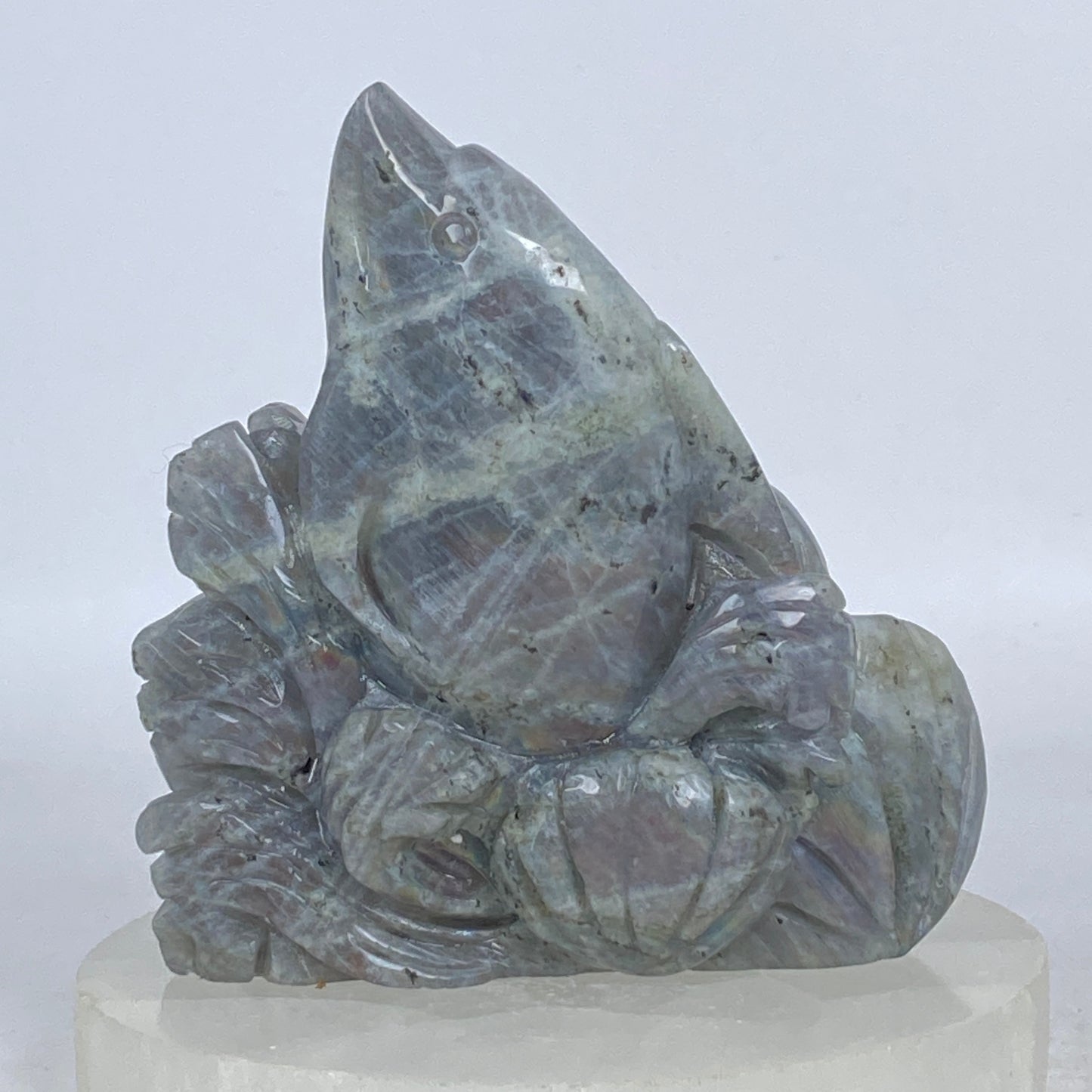Labradorite Dolphin Carving #2
