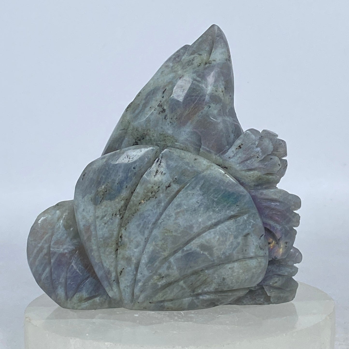 Labradorite Dolphin Carving #2