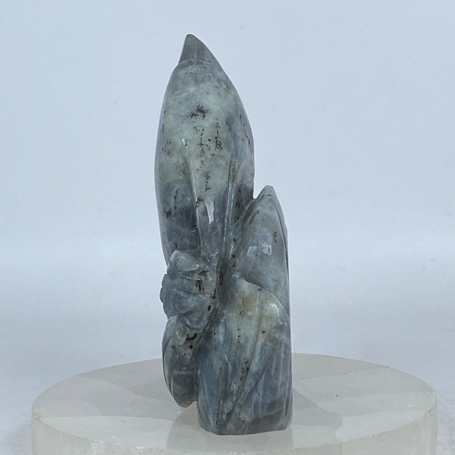 Labradorite Dolphin Carving #2
