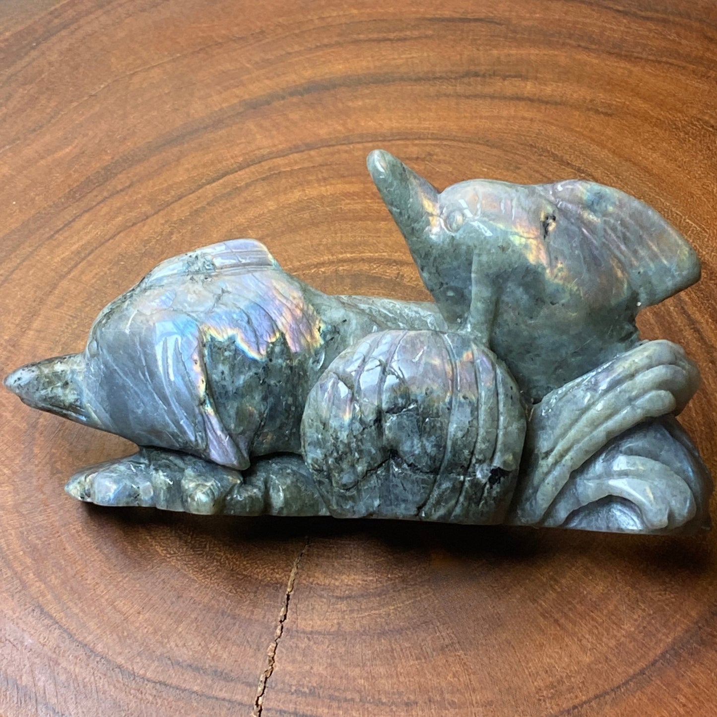 Labradorite Dolphins Carving #1