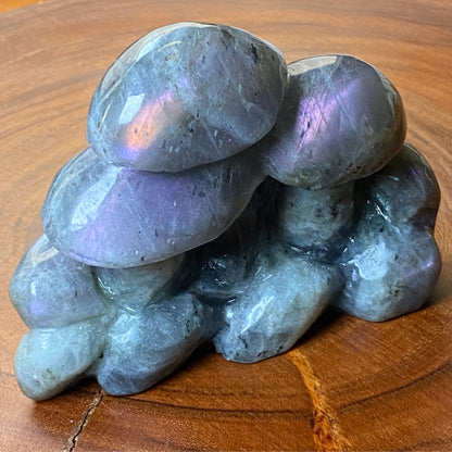 Labradorite Mushrooms Carving