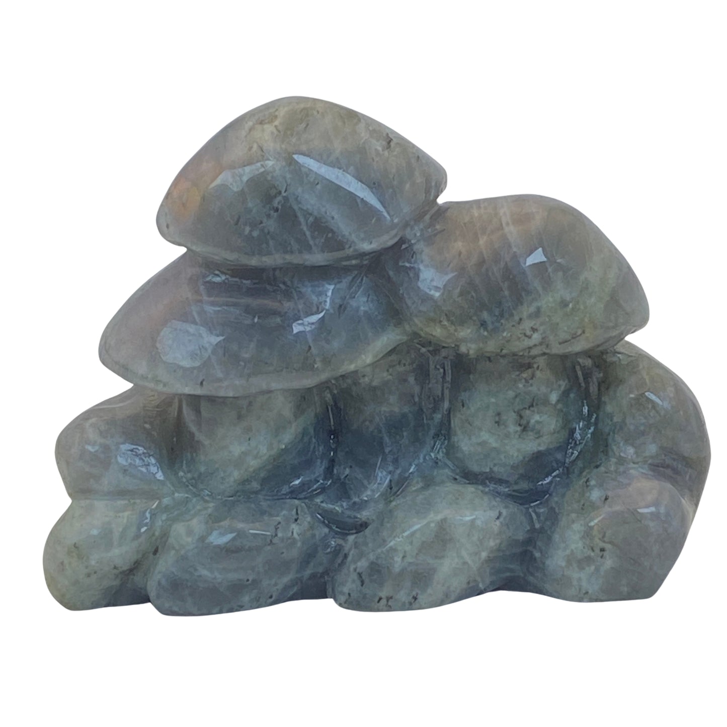 Labradorite Mushrooms Carving