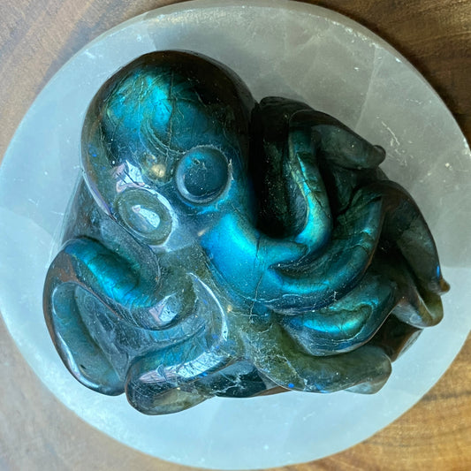 Labradorite Octopus - Great Flash!
