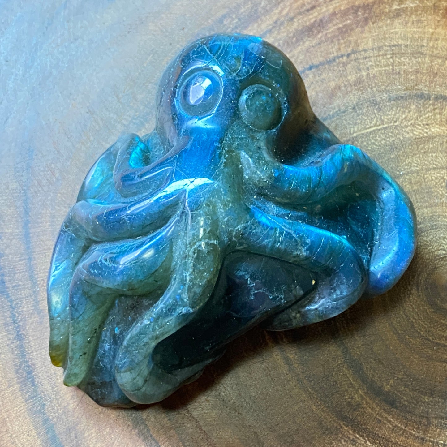 Labradorite Octopus - Great Flash!