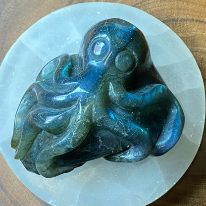 Labradorite Octopus - Great Flash!