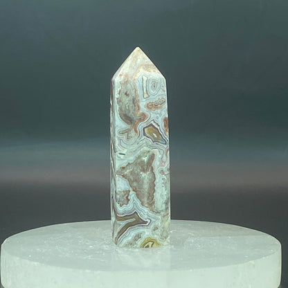 Mexican Agate Point #1