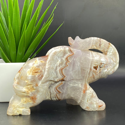 Mexican Agate with Pale Amethyst Elephant