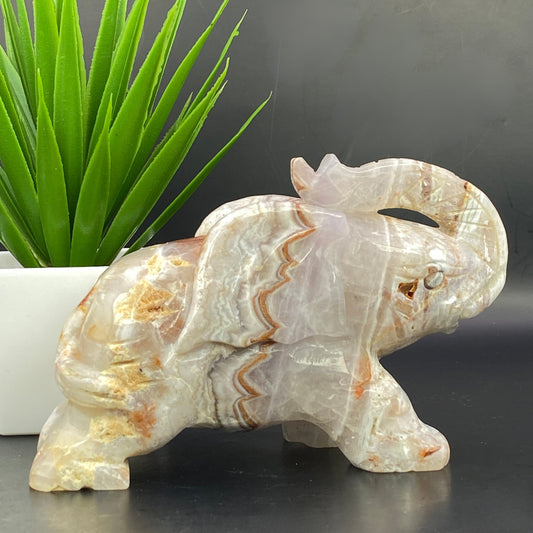 Mexican Agate with Pale Amethyst Elephant