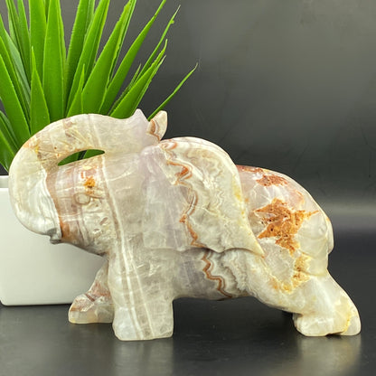 Mexican Agate with Pale Amethyst Elephant