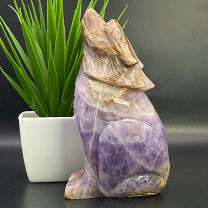 Mexican Agate with Amethyst Wolf - LARGE
