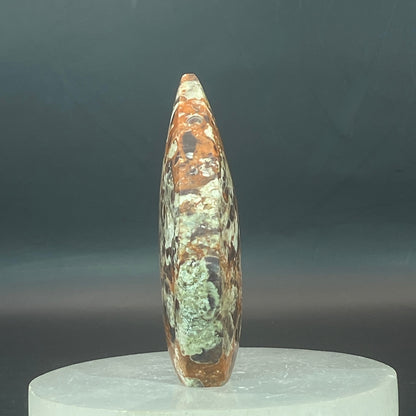 Money Agate Freeform #1