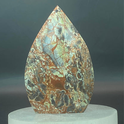 Money Agate Freeform #2