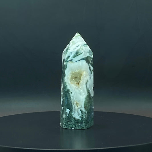 Moss Agate Point #1