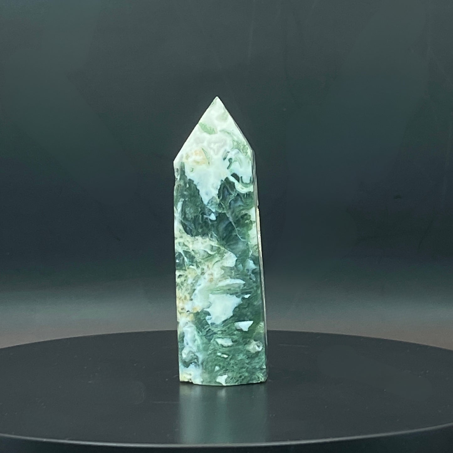 Moss Agate Point #1