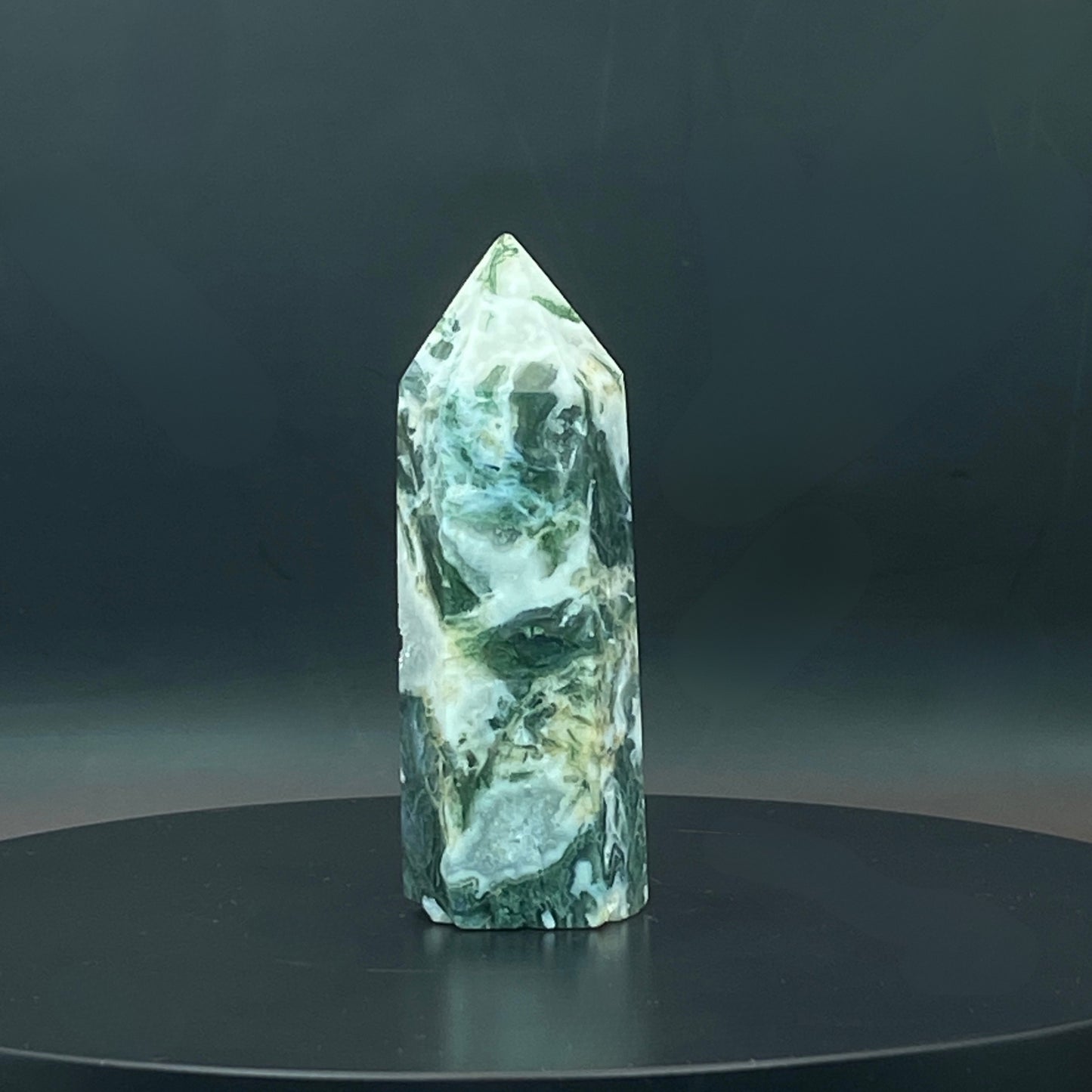 Moss Agate Point #1