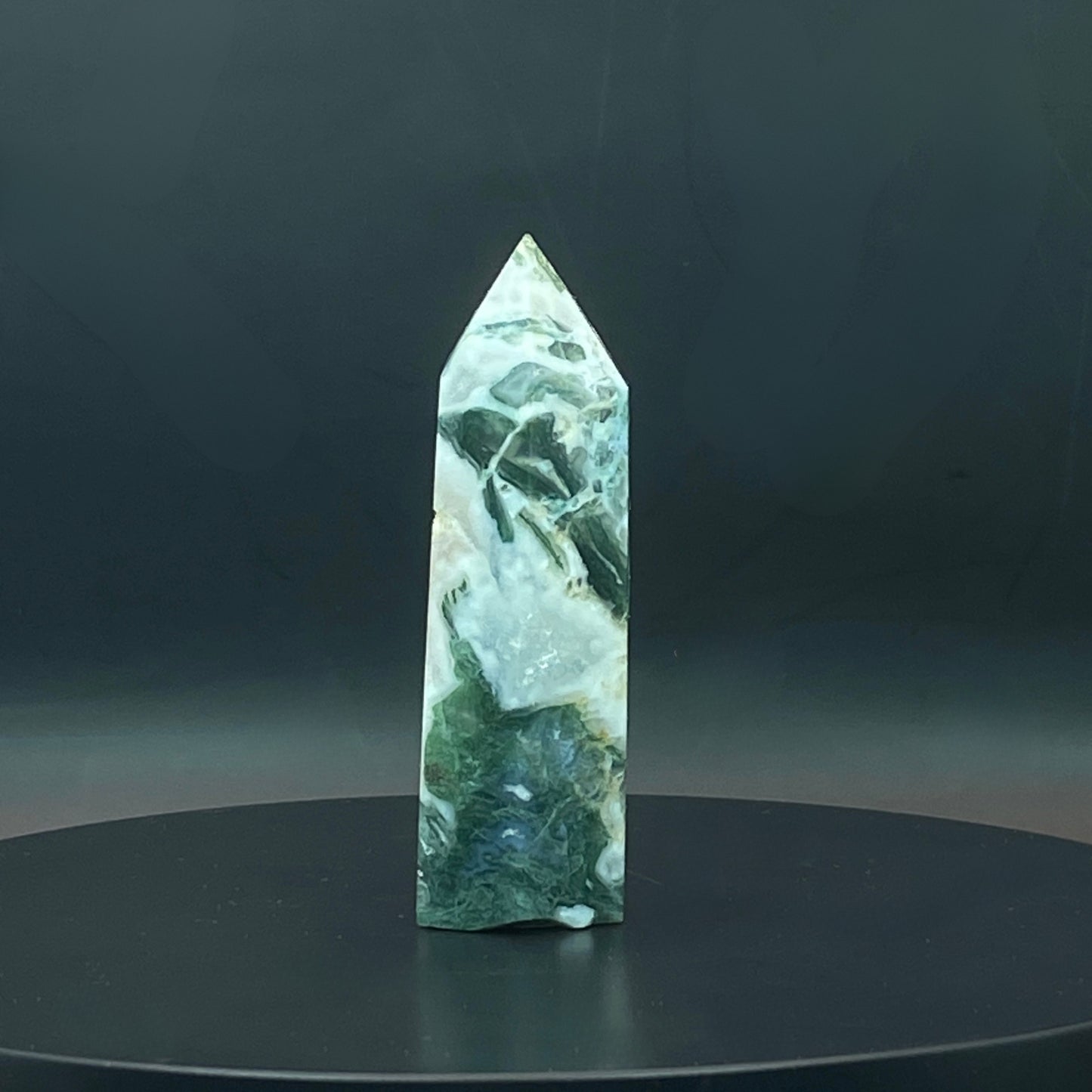 Moss Agate Point #1
