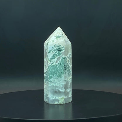 Moss Agate Point #2