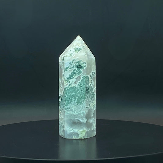 Moss Agate Point #2