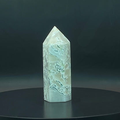 Moss Agate Point #2