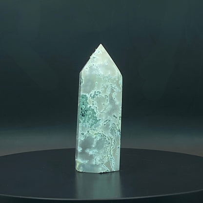 Moss Agate Point #2