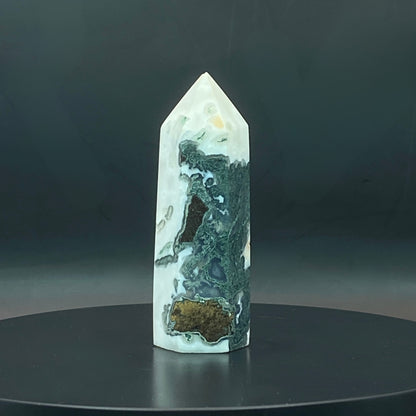 Moss Agate Point #3