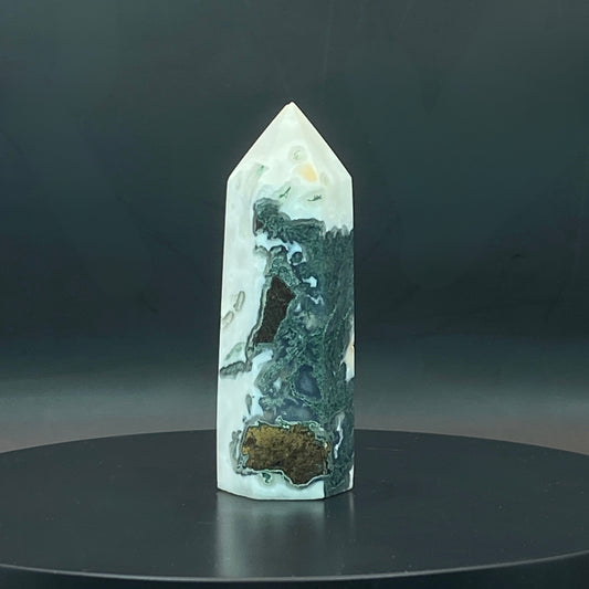 Moss Agate Point #3