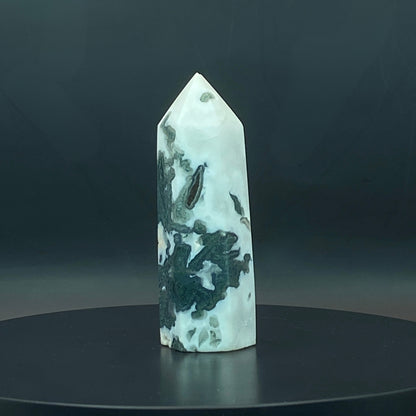 Moss Agate Point #3