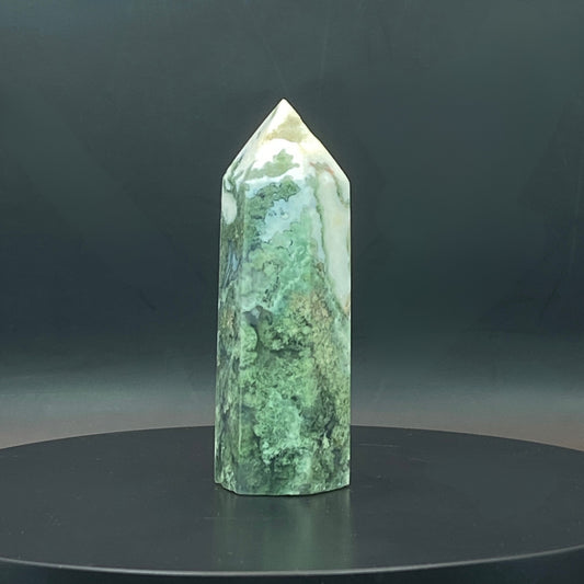 Moss Agate Point #4