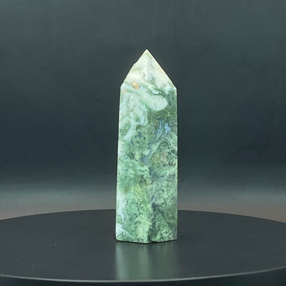 Moss Agate Point #4