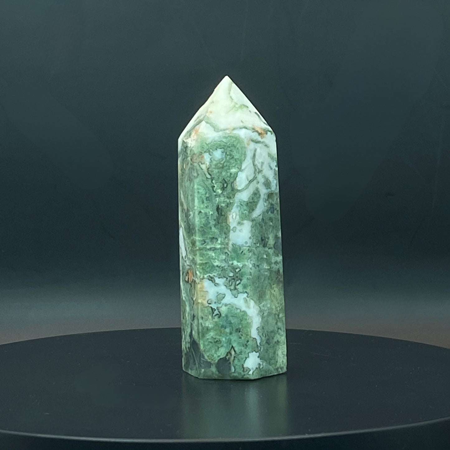 Moss Agate Point #4