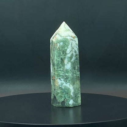 Moss Agate Point #4