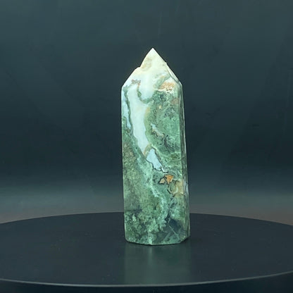 Moss Agate Point #4
