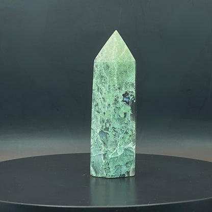 Moss Agate Point #5