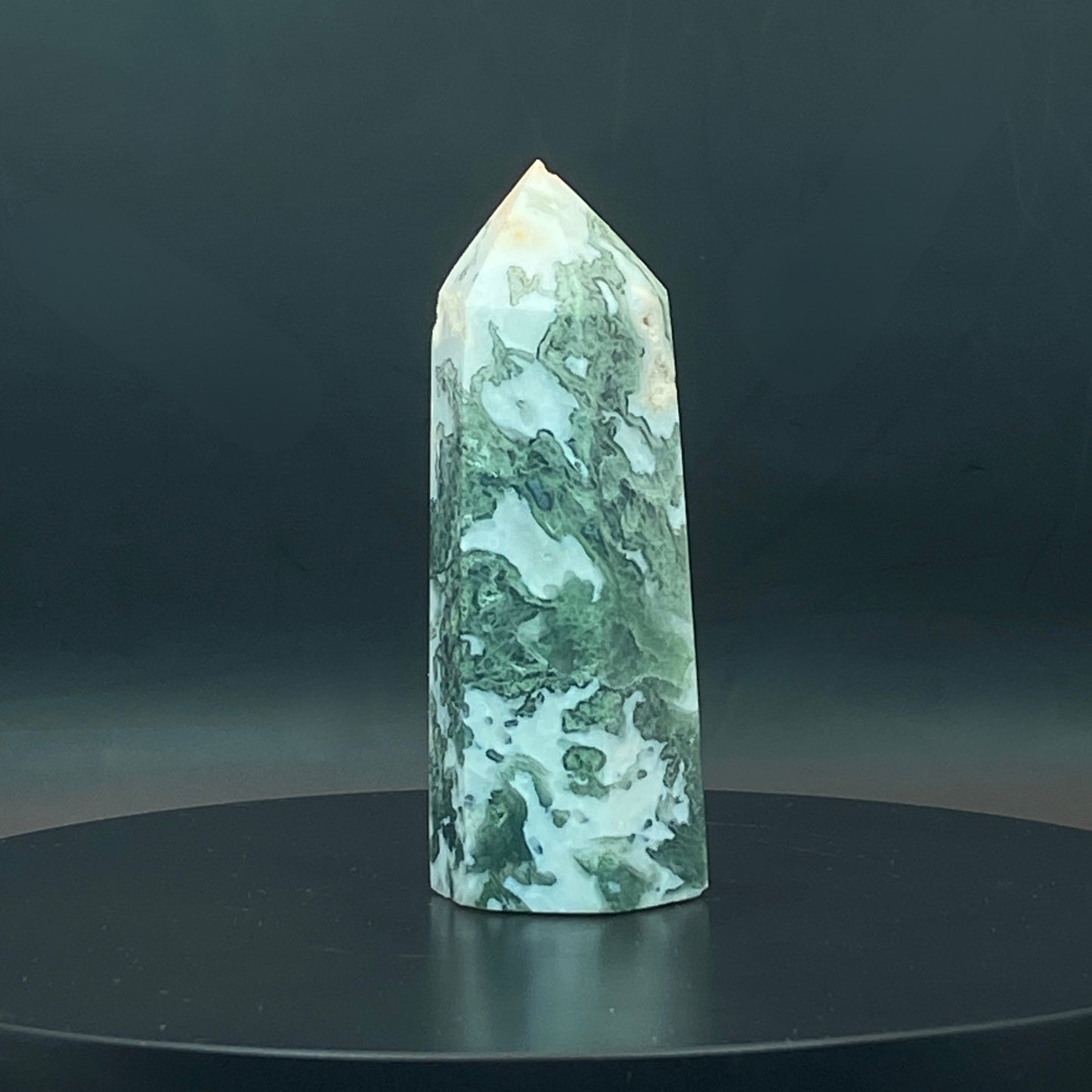 Moss Agate Point #6