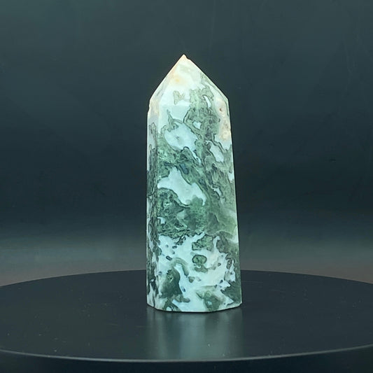 Moss Agate Point #6