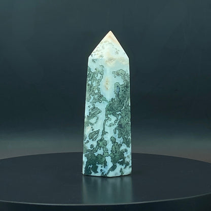 Moss Agate Point #6