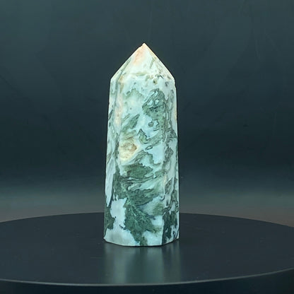 Moss Agate Point #6