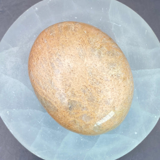 Peach Moonstone Palm Stone #8