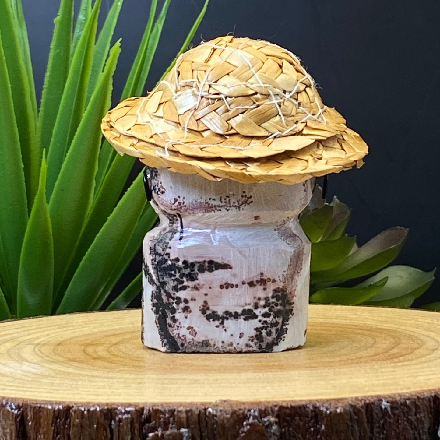 Landscape Jasper Pet Rock