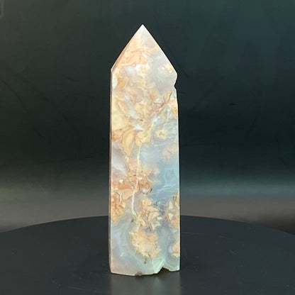 Pink Agate Point #3