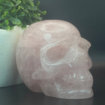 HUGE Rose Quartz Skull - 1.630kg!