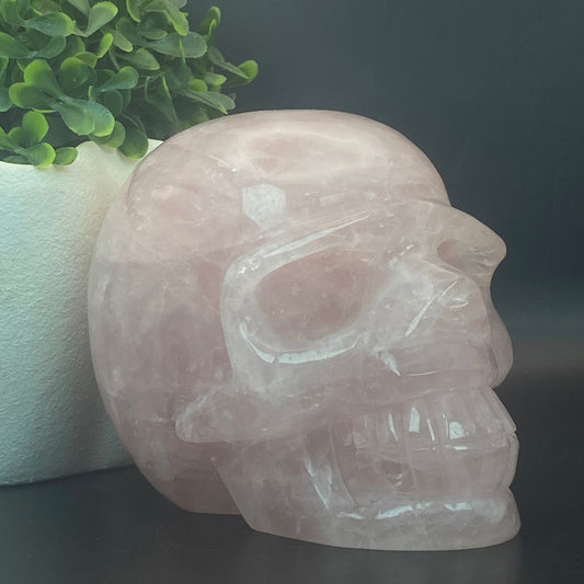 HUGE Rose Quartz Skull - 1.630kg!