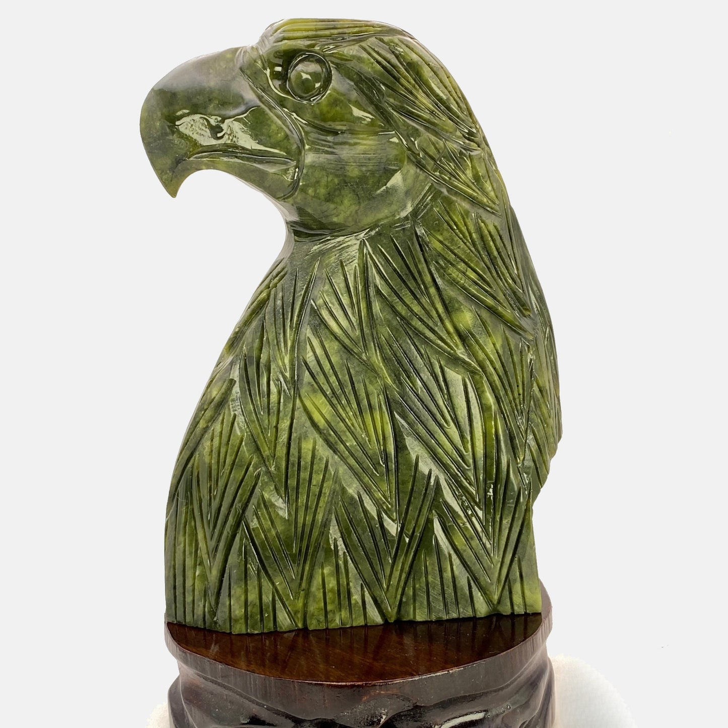 HUGE Serpentine Eagle Head - 2.5KG!