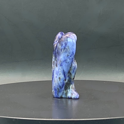 Sodalite Angel #2 - Small