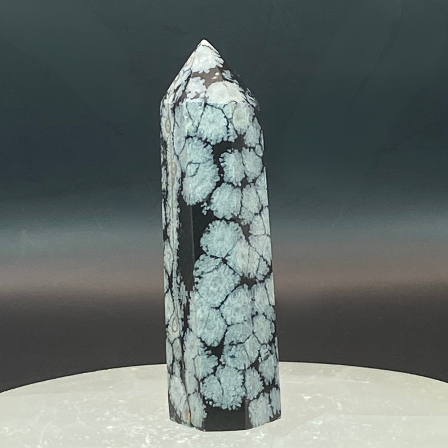 Snowflake Obsidian Point #6